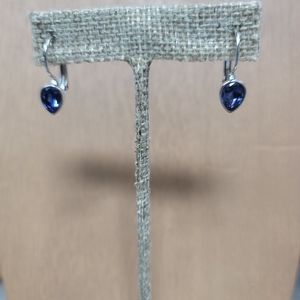 Touchstone Crystal Earrings